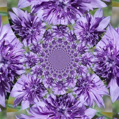 What Flowers Are Purple: A Kaleidoscope of Nature's Palette